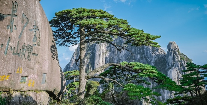 界面快评｜黄山大量游客因台风滞留，防汛应急预案要落实到位