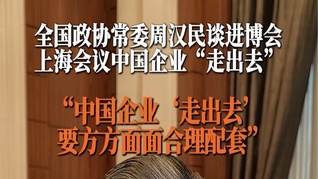 全国政协常委周汉民谈进博会上海会议中国企业“走出去”