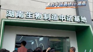 活力中国调研行｜200亿基金重仓，手握200多种高端合成生物产品，湖南这座小城跑出生物制造“加速度”