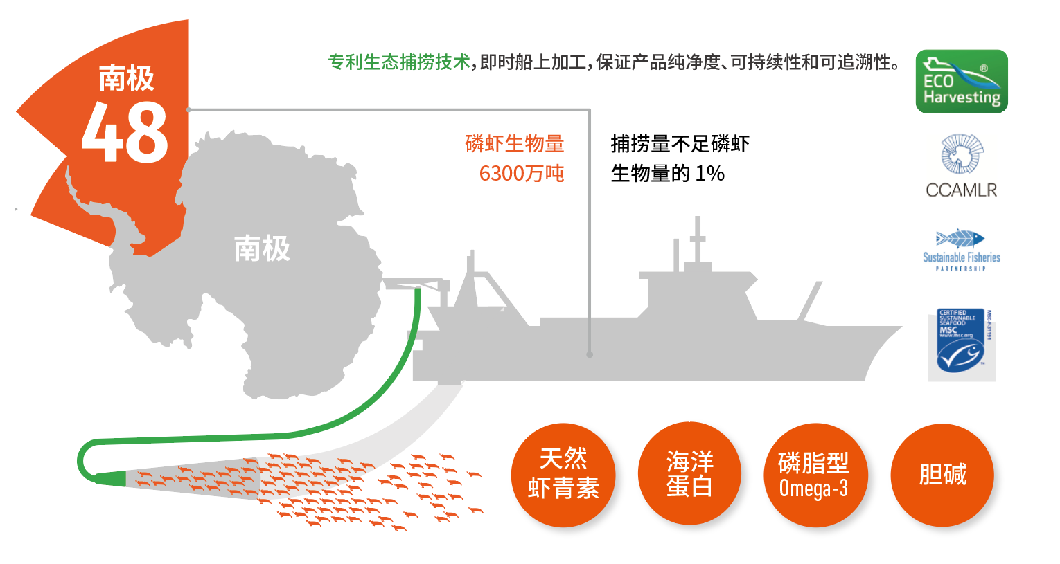 如图片无法显示，请刷新页面