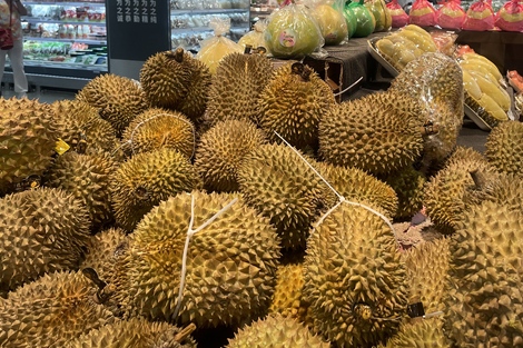 进口榴莲大跳水,都怪越南榴莲?