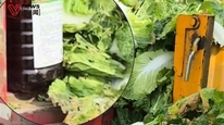 三部门指导调查“甲醛白菜”问题