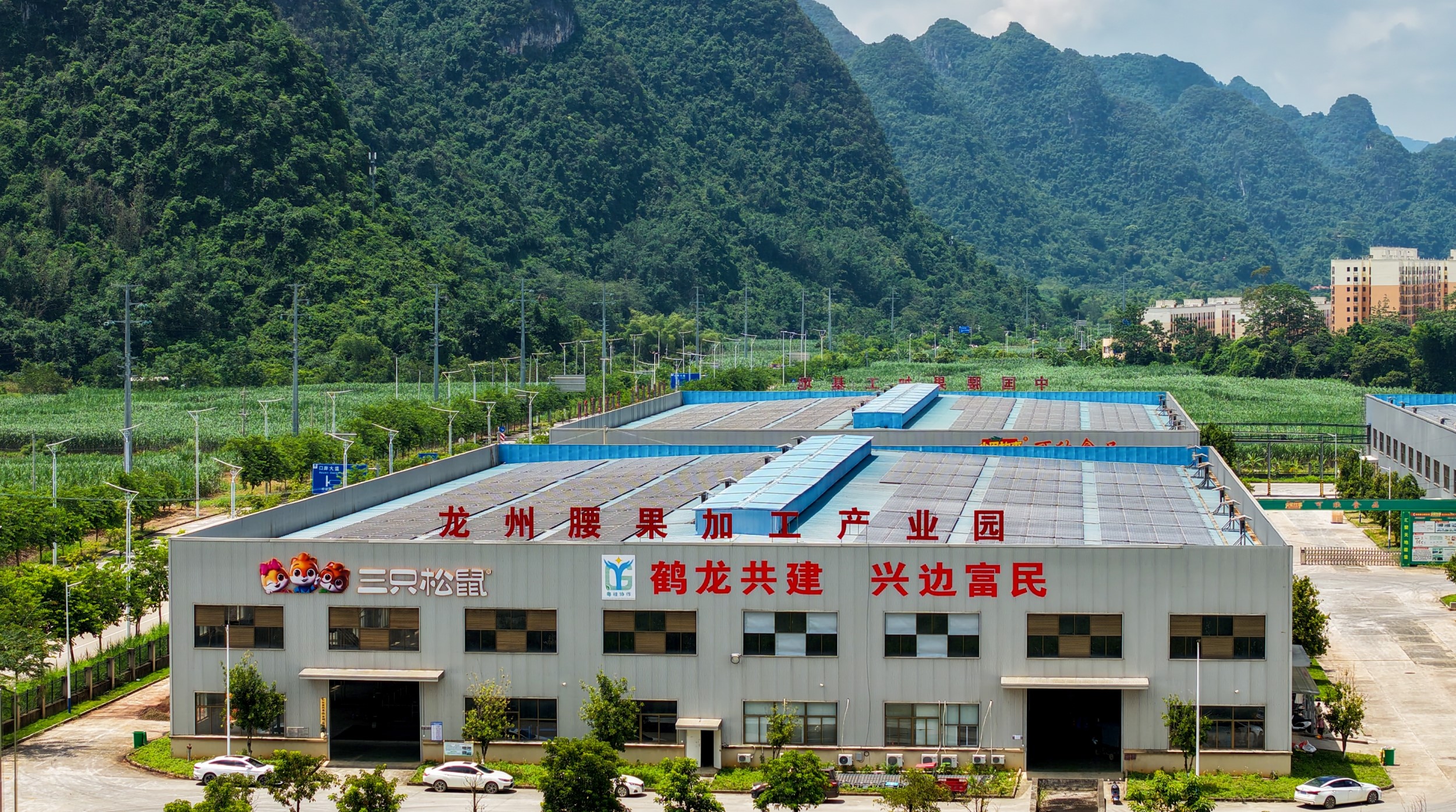 三只松鼠2026半年报：净利同比大增近八成，扣非净利翻倍