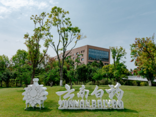 营收、利润、现金流三重增长，云南白药“五大维度”构筑增长新动能