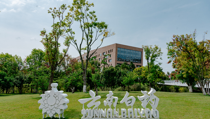 云南白药;营收增长;利润增长;现金流增长;五大维度;增长新动能