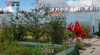 活力中国调研行丨北纬47度寒地养殖小龙虾，东北脱贫村自主育苗拿捏“南虾北养”