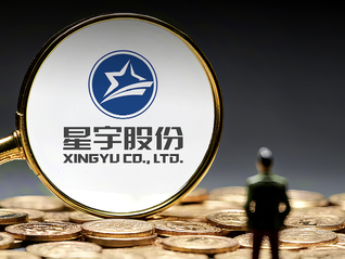 星宇股份处罚疑云：61岁被免职人力资源总监未有对应职务信息