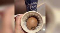 霸王茶姬茶叶蛋5元一颗仅限堂食