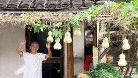 界面快评｜绍兴“葫芦爷爷”走红，但更应关注失独家庭的政策保障