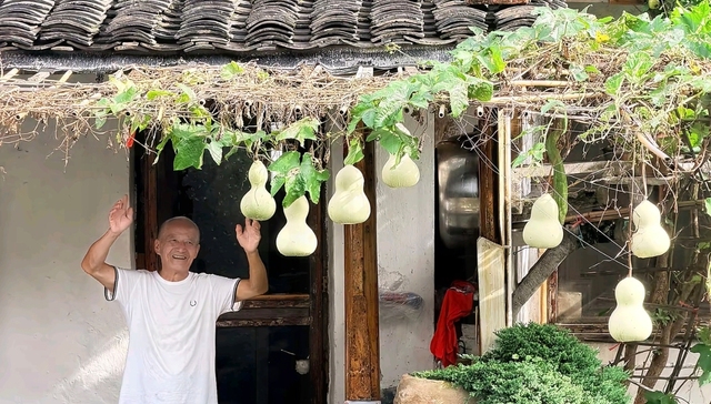 界面快评｜绍兴“葫芦爷爷”走红，但更应关注失独家庭的政策保障