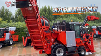 活力中国调研行丨“收蔗神器”一天能收100多吨甘蔗，中国创新农机从河南走向世界