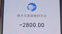 啄木鸟上门维修换1个开关收费2800元