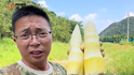 广东清远通报“个别窝点违法使用硫磺熏蒸麻竹笋”：情况属实，将进行全面排查
