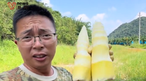 广东清远通报“个别窝点违法使用硫磺熏蒸麻竹笋”：情况属实，将进行全面排查