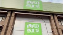 实探“倒闭”传闻中的西贝
