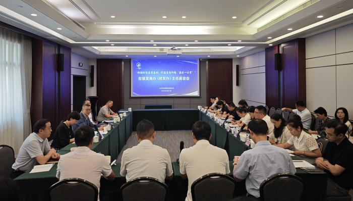 上海街镇;营商;座谈会;被卡住的事;营商环境;街镇经济;企业服务