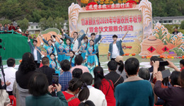 界面快评｜激活县域消费动能，强化自身“造血”能力更为重要