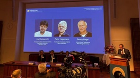 诺贝尔生理学或医学奖揭晓,3位光遗传学科学家共同获奖