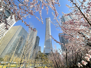 财政政策执行报告来了，透露哪些扩内需积极信号？