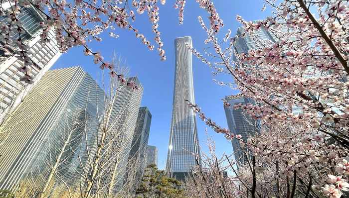 财政政策,财政政策执行报告;扩内需;积极信号;财政政策;执行报告;扩内需信号