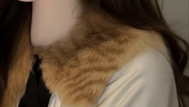 200万粉丝“网红店”用猫毛做衣服，疑问重重
