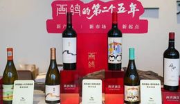 行情下行再获亿元融资，西鸽凭什么？