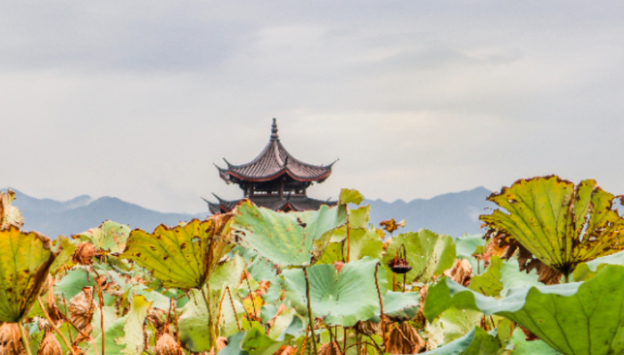杭州,地产新政杭州；开发商友好型；现房新政；现房销售；房地产政策；开发商；新政；杭州楼市