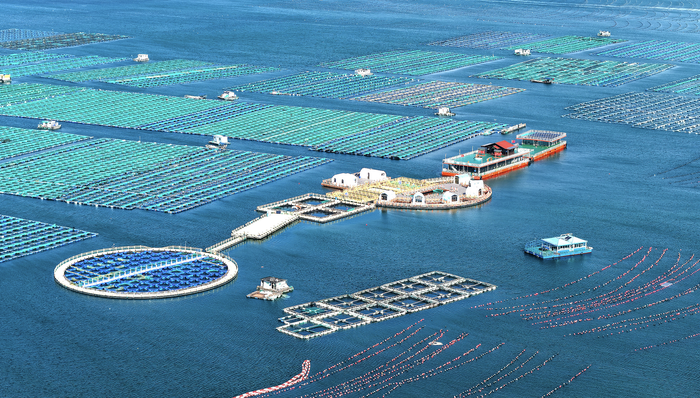 海洋经济,2025年海洋经济; 海洋经济成绩单; 11万亿; 海洋生产总值; 海洋经济数据; 中国海洋经济; 海洋产业发展; 海洋经济统计; 2025年海洋生产总值