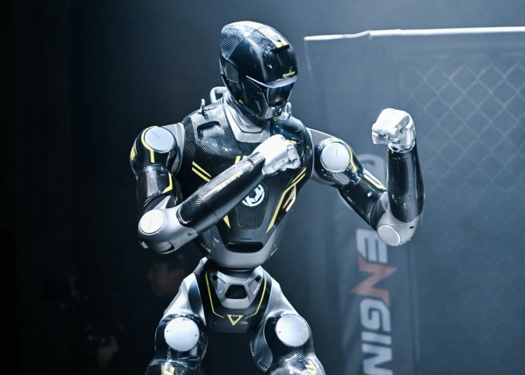 首个人形机器人格斗联赛来了，为什么机器人公司都爱打拳？