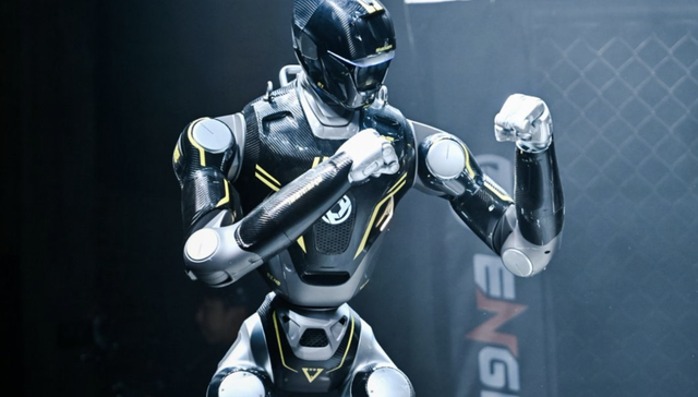 首个人形机器人格斗联赛;机器人公司;打拳