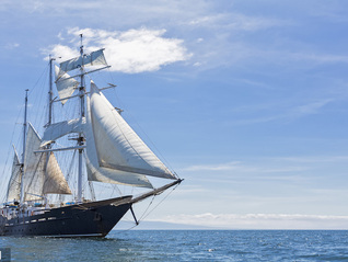 中企出海需求升级，汇丰王云峰建言上海筑牢服务桥头堡 | 上海两会