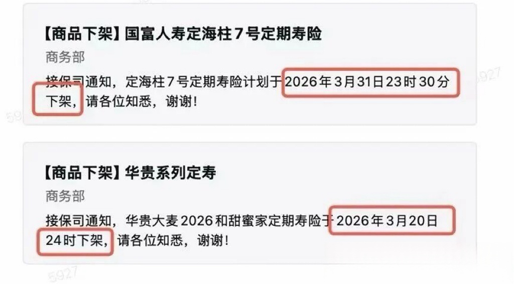 税收政策生变，高杠杆、低保费的定期寿险涨价了