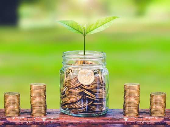 道明光学,转让,子公司