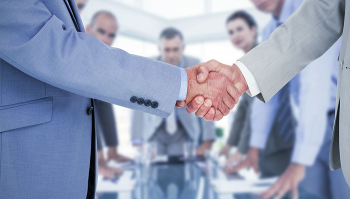 安道麦A,股权,A股