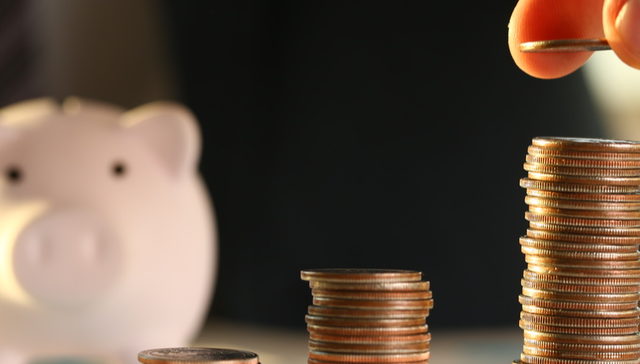 红星发展,清算,破产