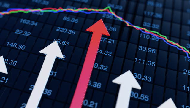 赣锋锂业,002460,总裁