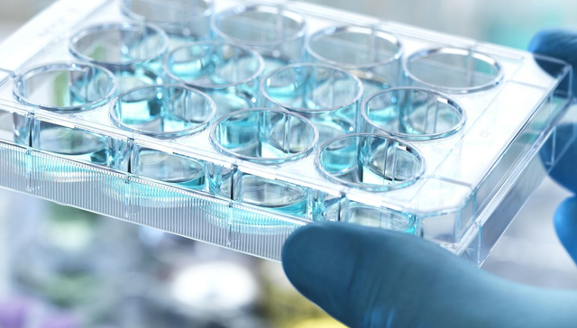 圣诺医药,疫苗,肿瘤