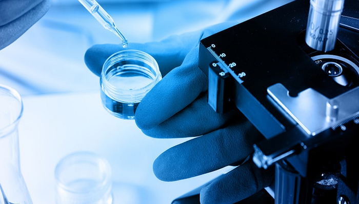 药明生物,医药,收益