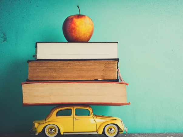 上海莱士,子公司,设置