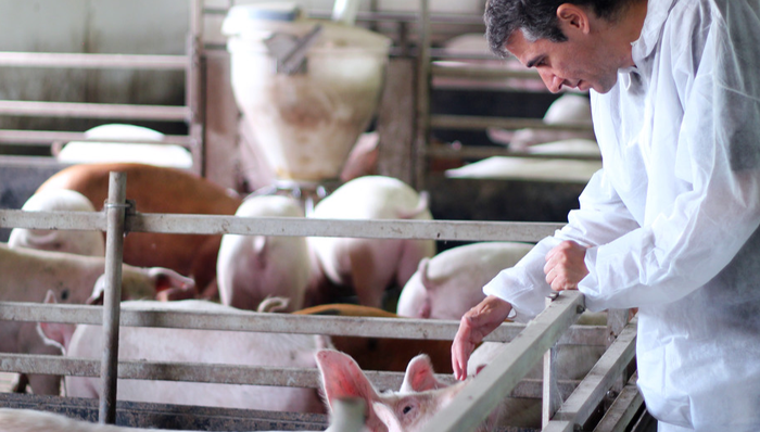 播恩集团,新股上市,001366