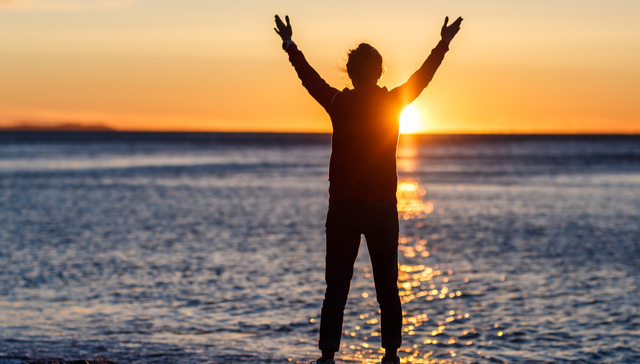 鹏欣集团,养殖业,肉牛产业