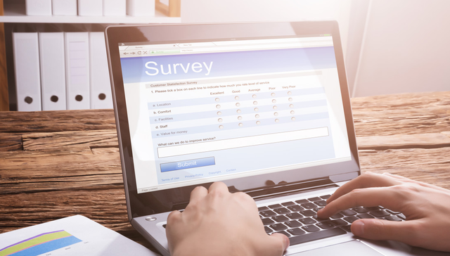 新五丰,调研,A股