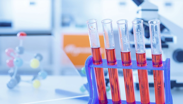 药明巨诺,临床试验,红斑狼疮