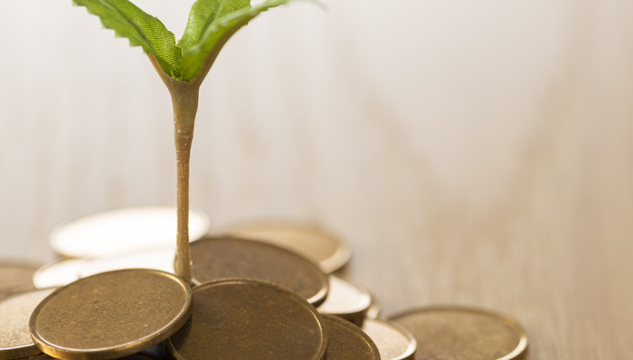 600866,星湖科技,尼龙