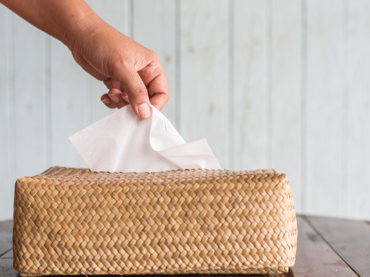 中顺洁柔,纸巾,业绩