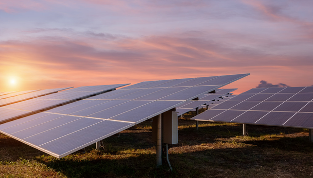 天合光能,A股,财报