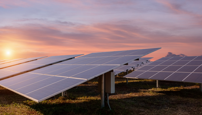 天合光能,A股,财报
