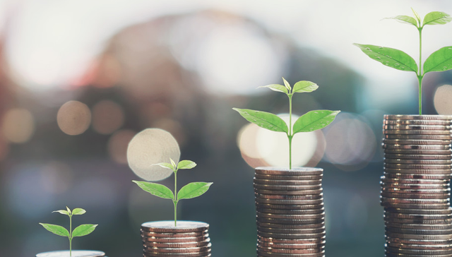 人福医药,600079,营业收入