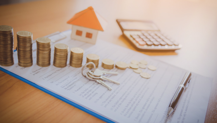 冠福股份,增持,股票