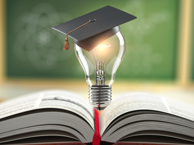 梅花生物,600873,维生素b2